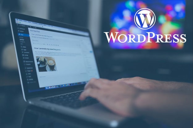 wordpress6